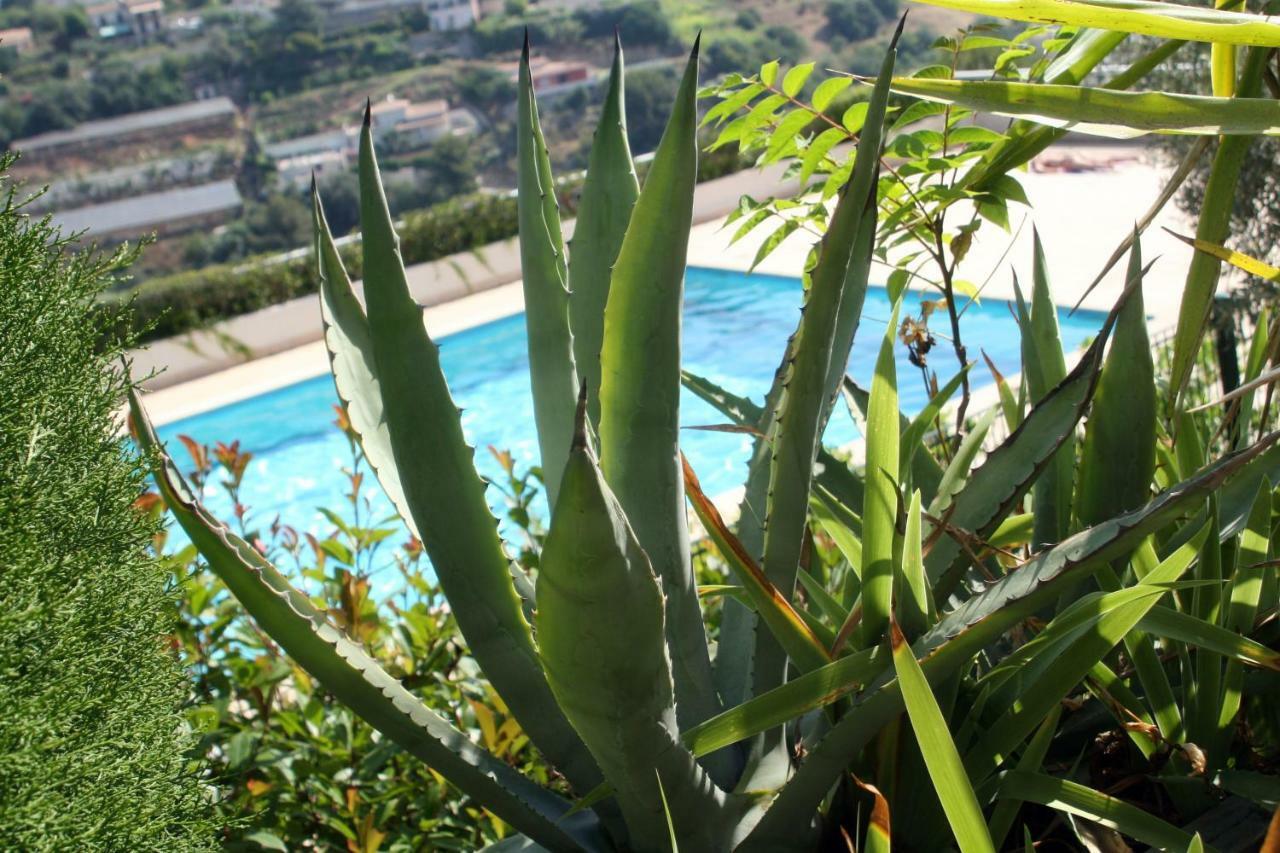 Studio Le Fabrina Riviera Nice Dış mekan fotoğraf