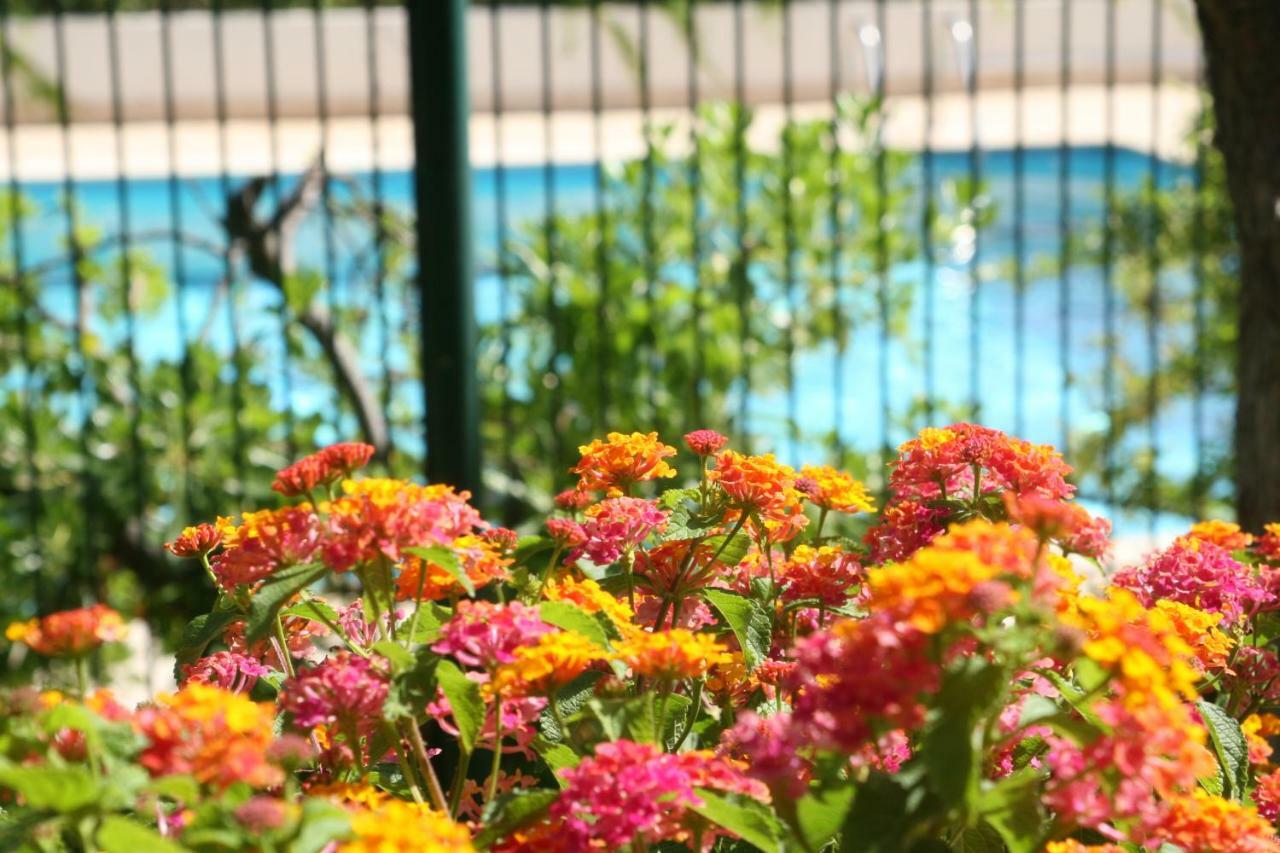 Studio Le Fabrina Riviera Nice Dış mekan fotoğraf